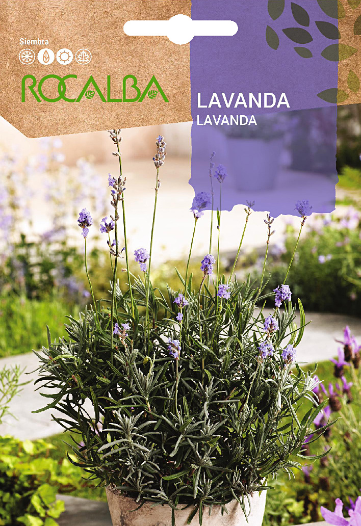 Sobre semillas lavanda – Sabelas