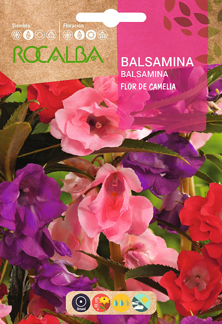 Semilla Balsamina Flor de Camelia Variada