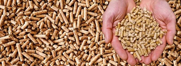 Consejos para escoger el mejor Pellet