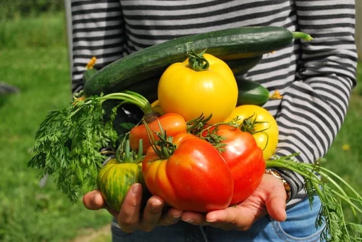 Abril: el mes en el que se planta todo lo que vas a cultivar en verano