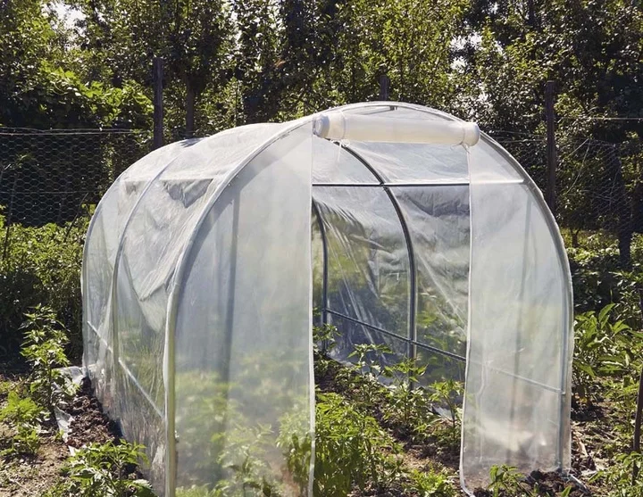 Las ventajas de plantar en invernadero