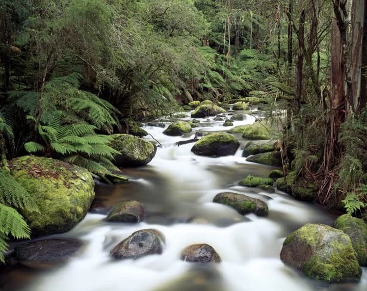 Apostando por la limpieza ecológica