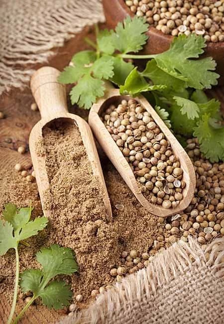 Semillas De Plantas Aromaticas
