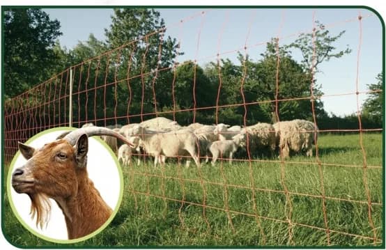 Malla Electrificada para Cabras 50 metros — foto principal