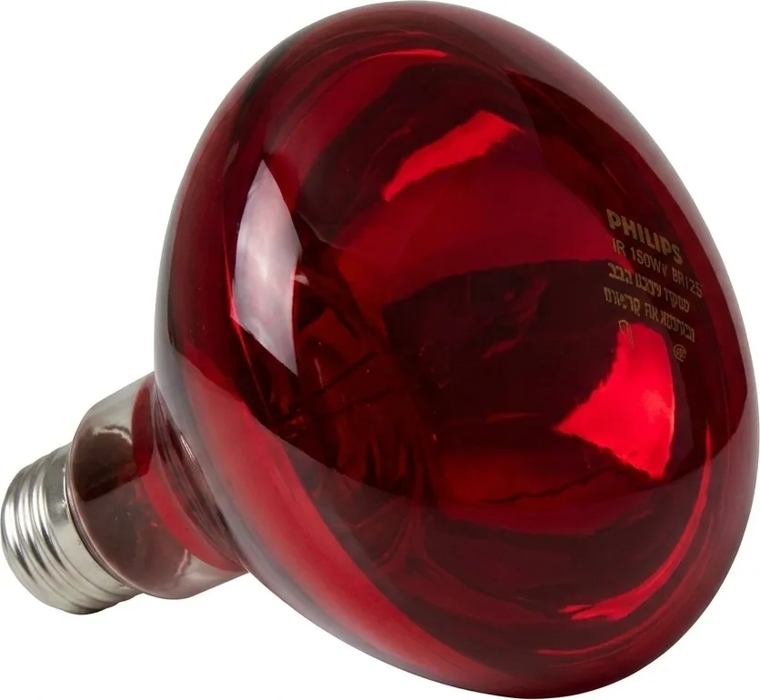 Bombilla Infrarrojos Philips 150 W — foto principal
