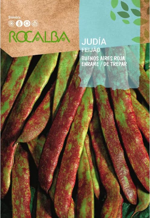 Semilla Judia Buenos Aires Vaina Roja 250 gr — foto principal