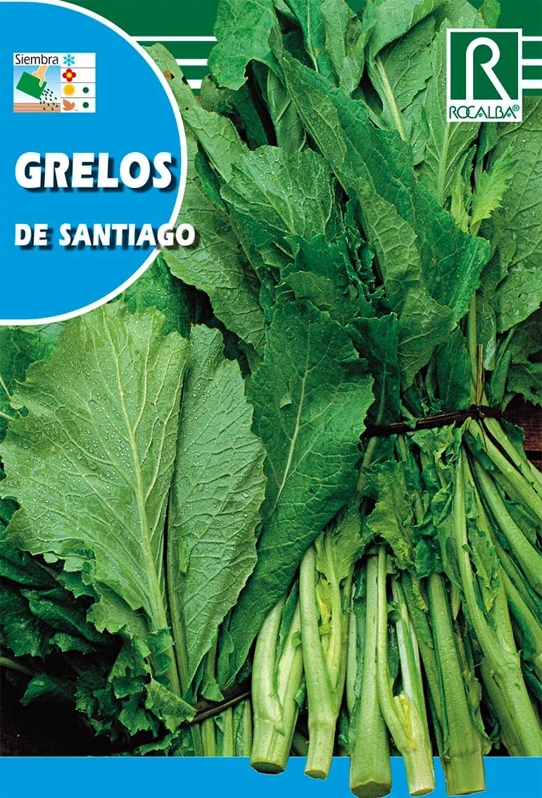 Semilla Grelo de Santiago 250 gr — foto principal
