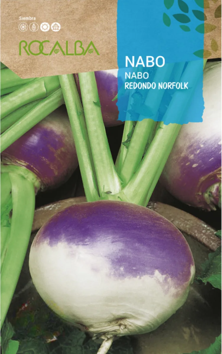 Semilla Nabo Redondo Norkfolk Violeta 250 gr — foto principal