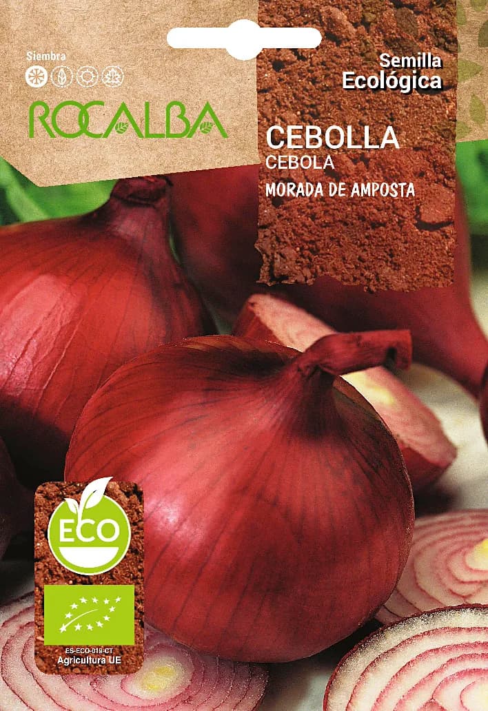 Semilla Ecologica Cebolla Morada de Amposta — foto principal