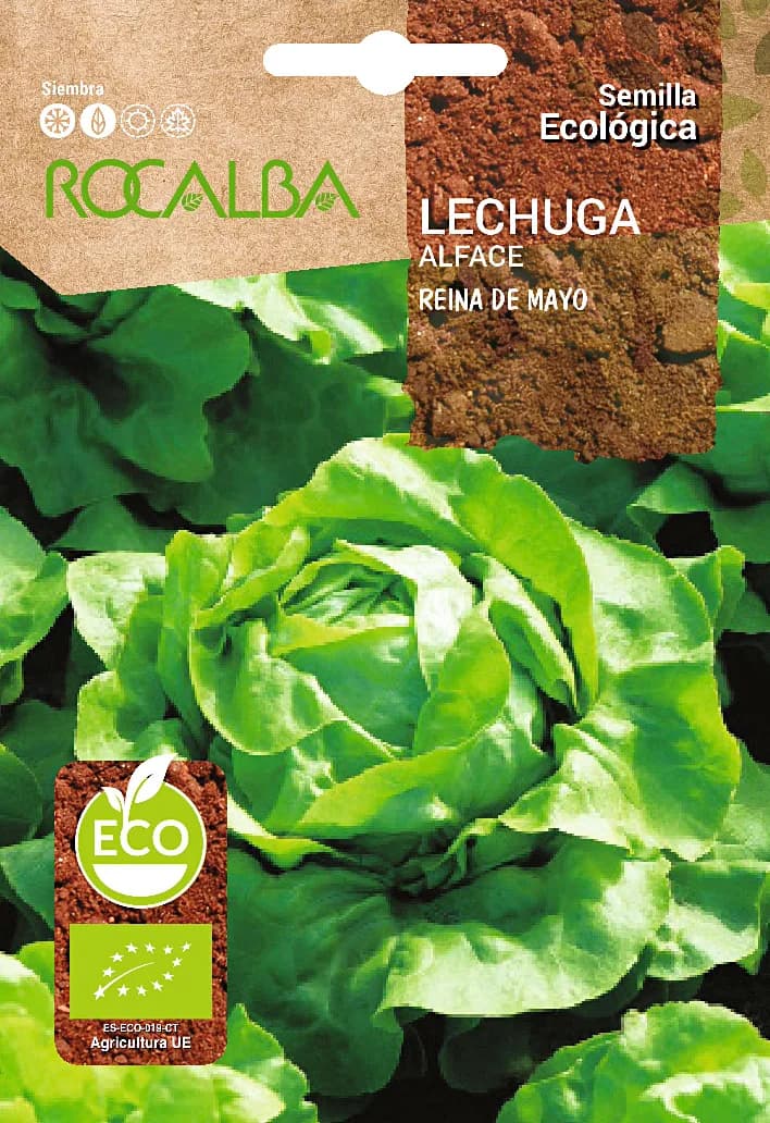 Semilla Ecologica Lechuga Reina de Mayo — foto principal