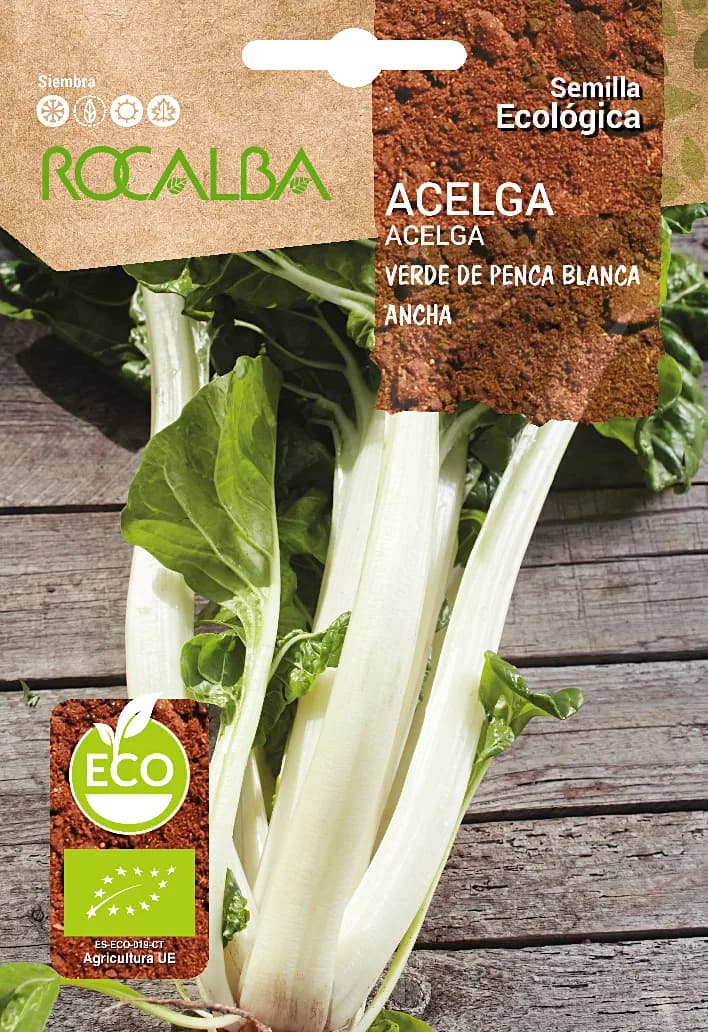 Semilla Ecologica Acelga Verde Penca Ancha blanca 2 — foto principal