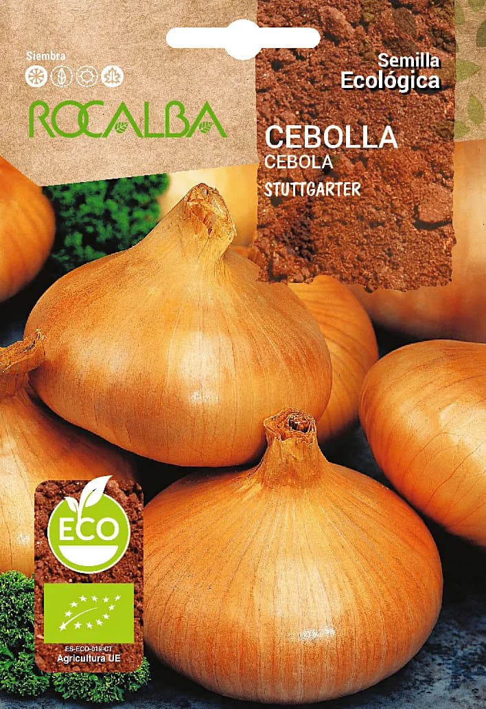 Semilla Ecologica Cebolla Stuttgarter — foto principal