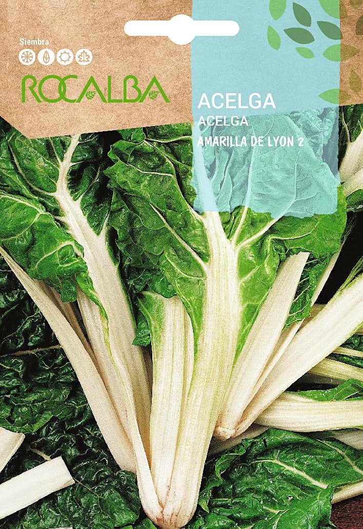 Semilla Acelga Amarilla de Lyon 2 — foto principal