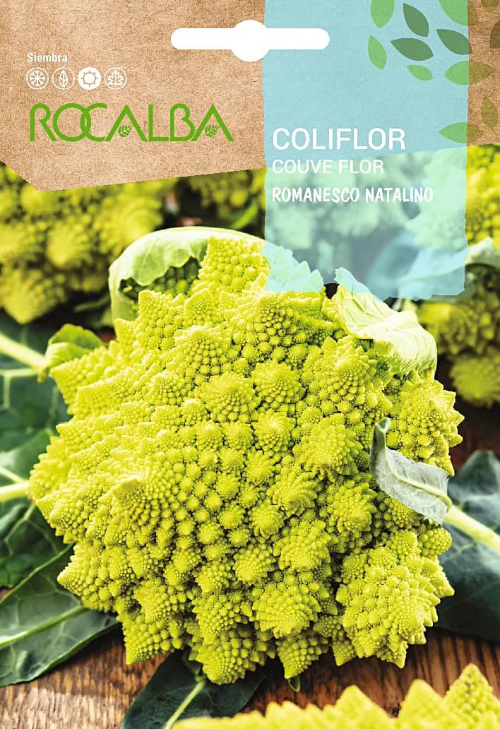 Semilla Coliflor Romanesco 8 gr — foto principal