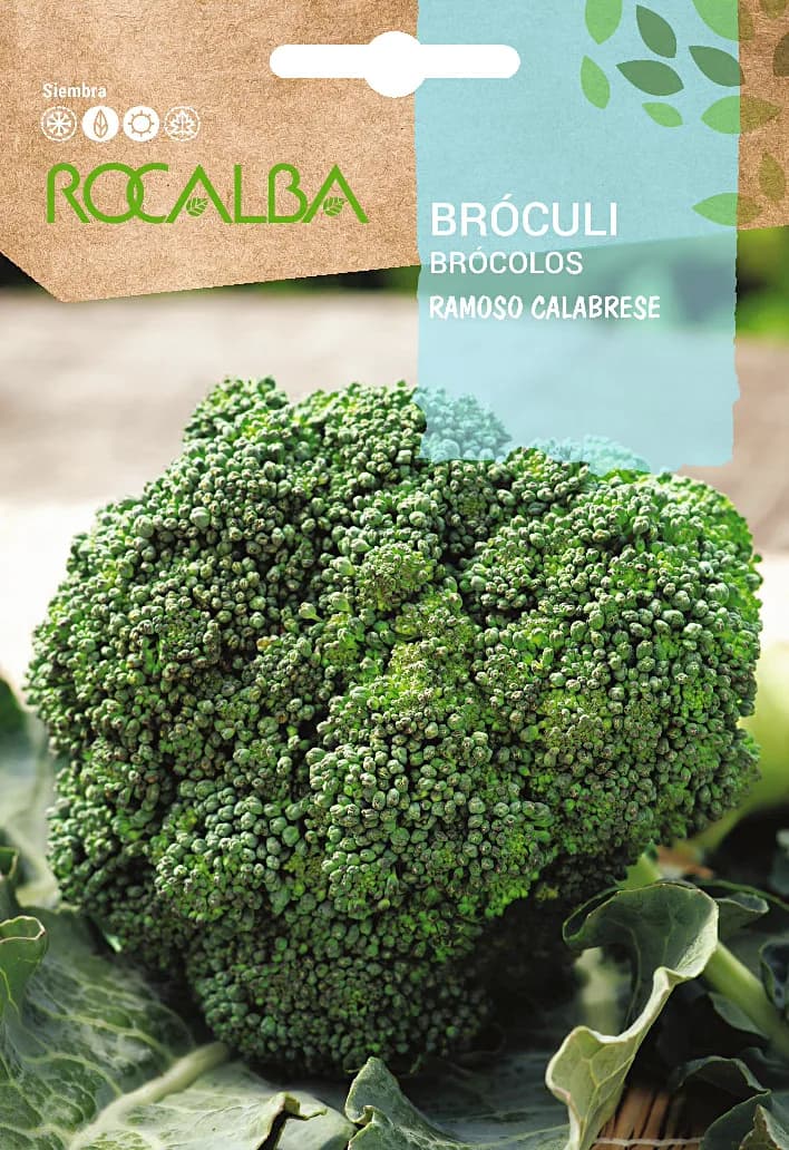 Semilla Brocoli Verde Calabrese — foto principal