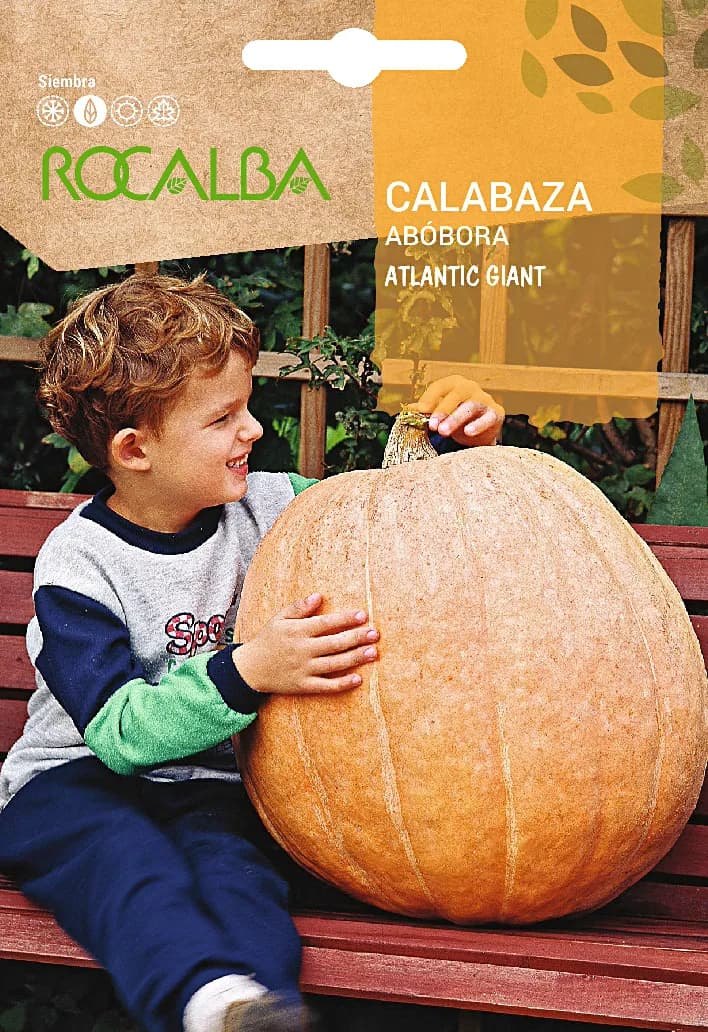 Semilla Calabaza Atlantic Giant 5 gr — foto principal