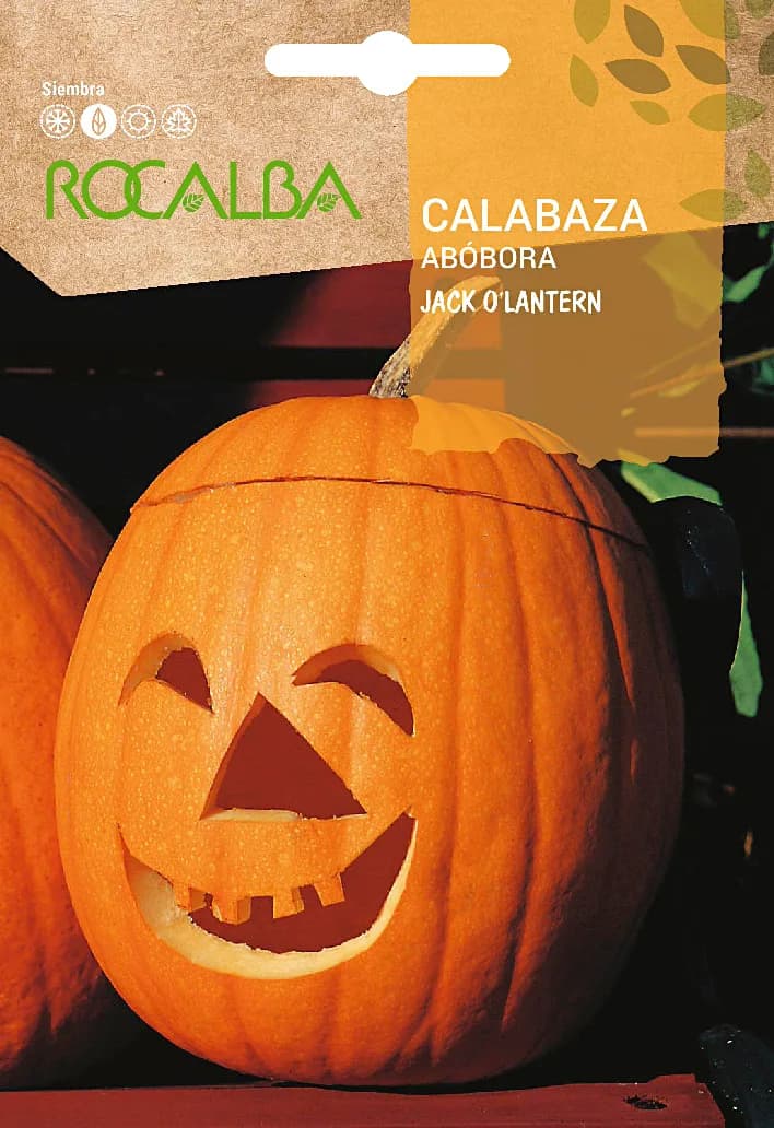 Semilla Calabaza Jack O´lantern 5 gr. — foto principal