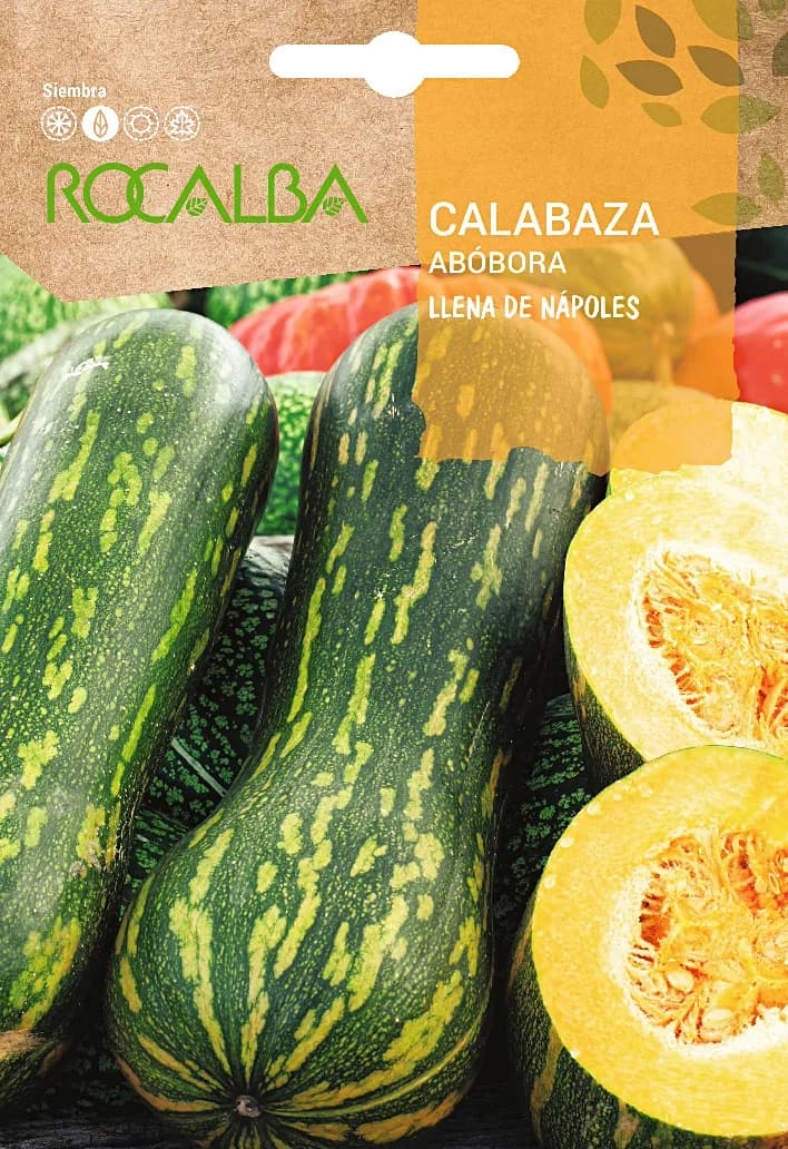 Semilla Calabaza Llena de Napoles 5 gr — foto principal