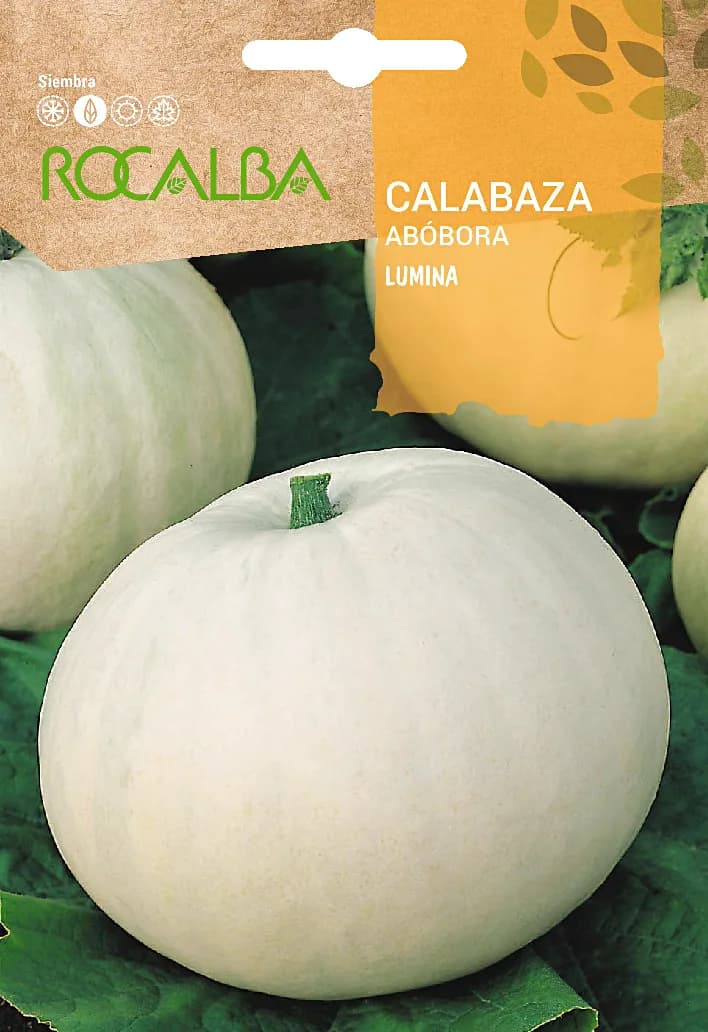Semilla Calabaza Lumina 2 gr — foto principal