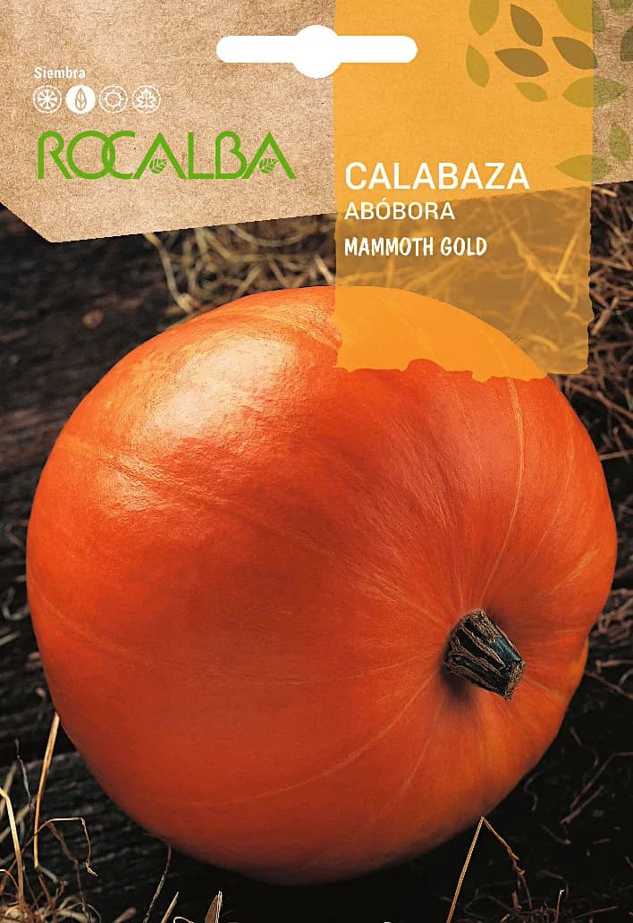 Semilla Calabaza Mammonth Gold 5 gr — foto principal