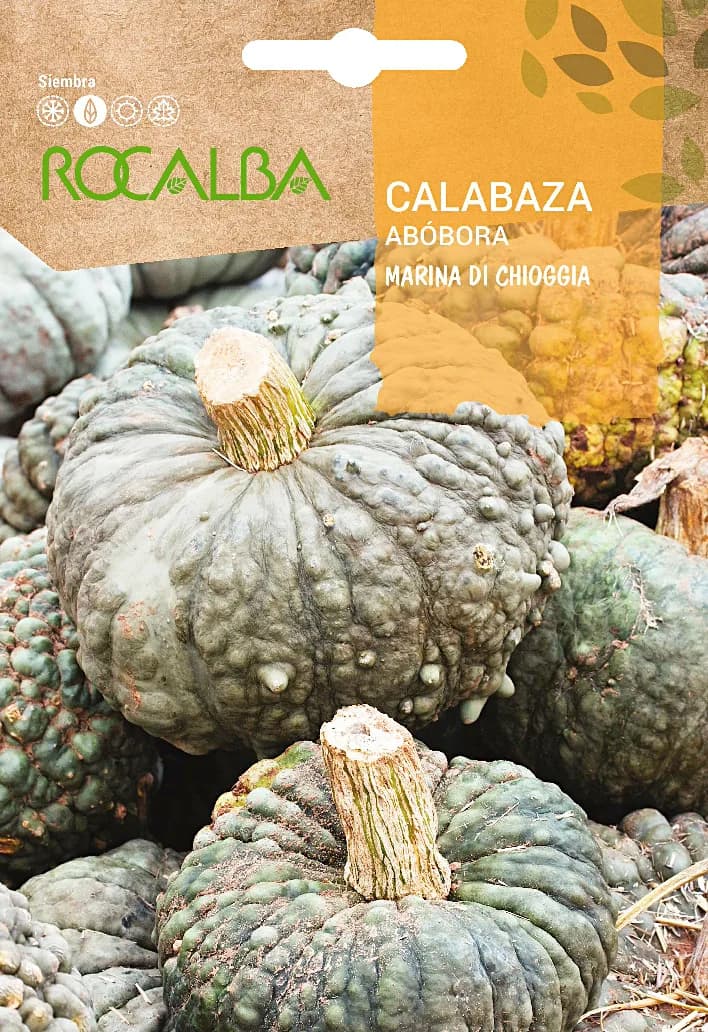 Semilla Calabaza Marina Di Chioggia 5 gr — foto principal