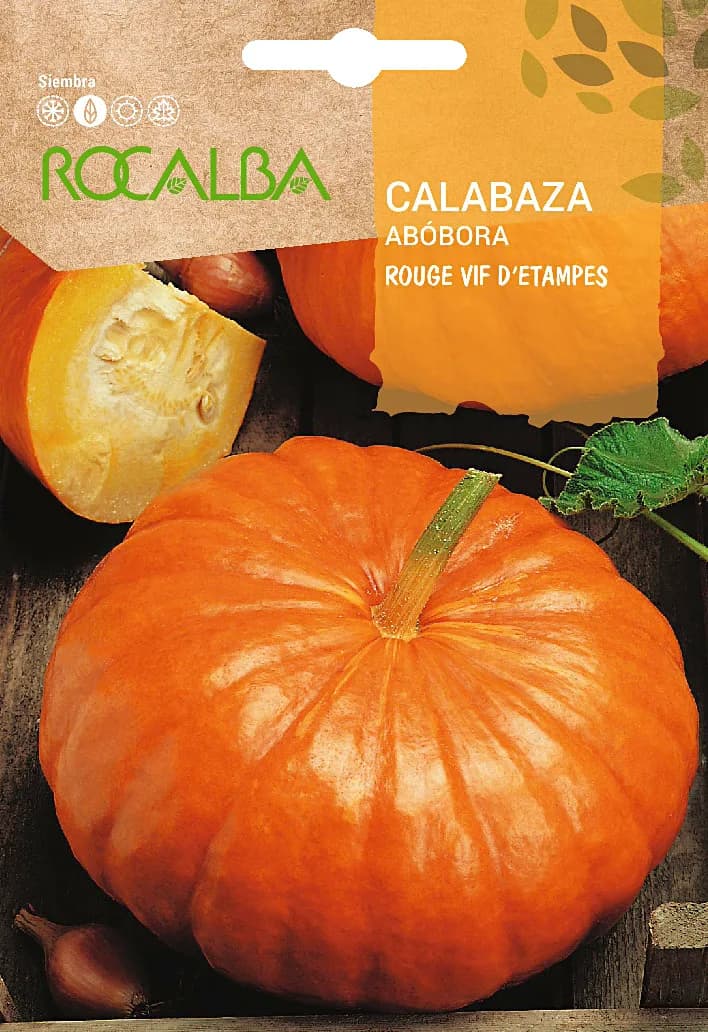 Semilla Calabaza Rouge Vif D´etampes 5 gr — foto principal