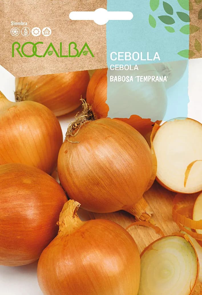 Semilla Cebolla Babosa Temprana — foto principal