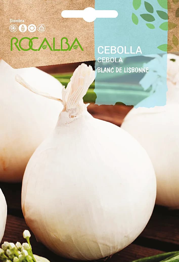 Semilla Cebolla blanca de Lisbone — foto principal