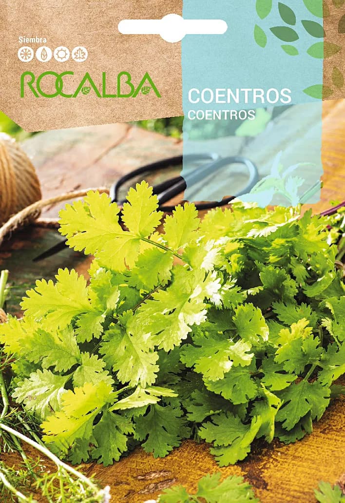 Semilla Coentros Cilantro Perejil Arabe — foto principal