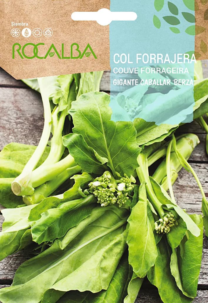 Semilla Col Forrajera Gigante Caballar Berza — foto principal