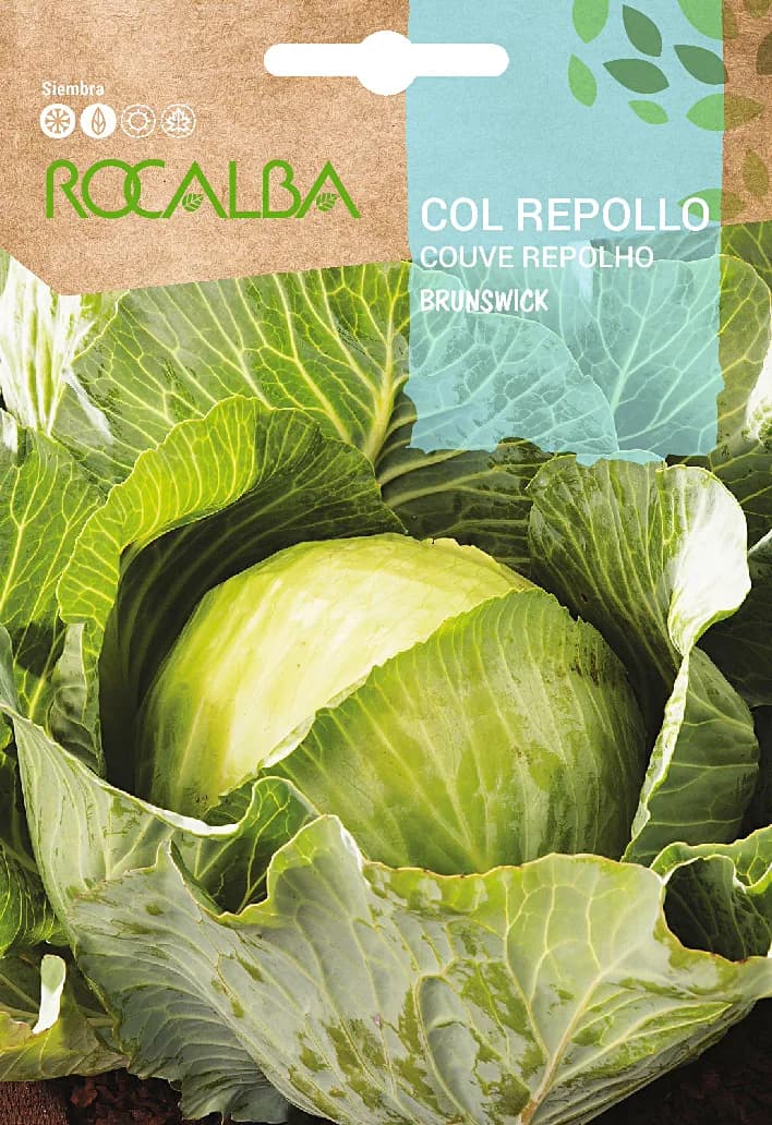 Semilla Col Repollo Brunswick — foto principal