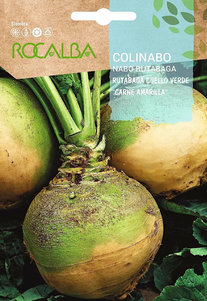 Semilla Colinabo Rutabaga de Cuello Verde — foto principal