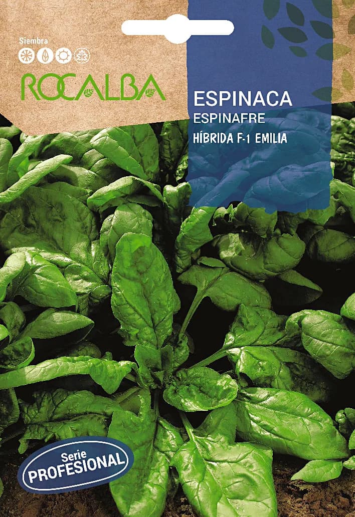 Semilla Profesional Espinaca Hibrida F1 Emilia — foto principal
