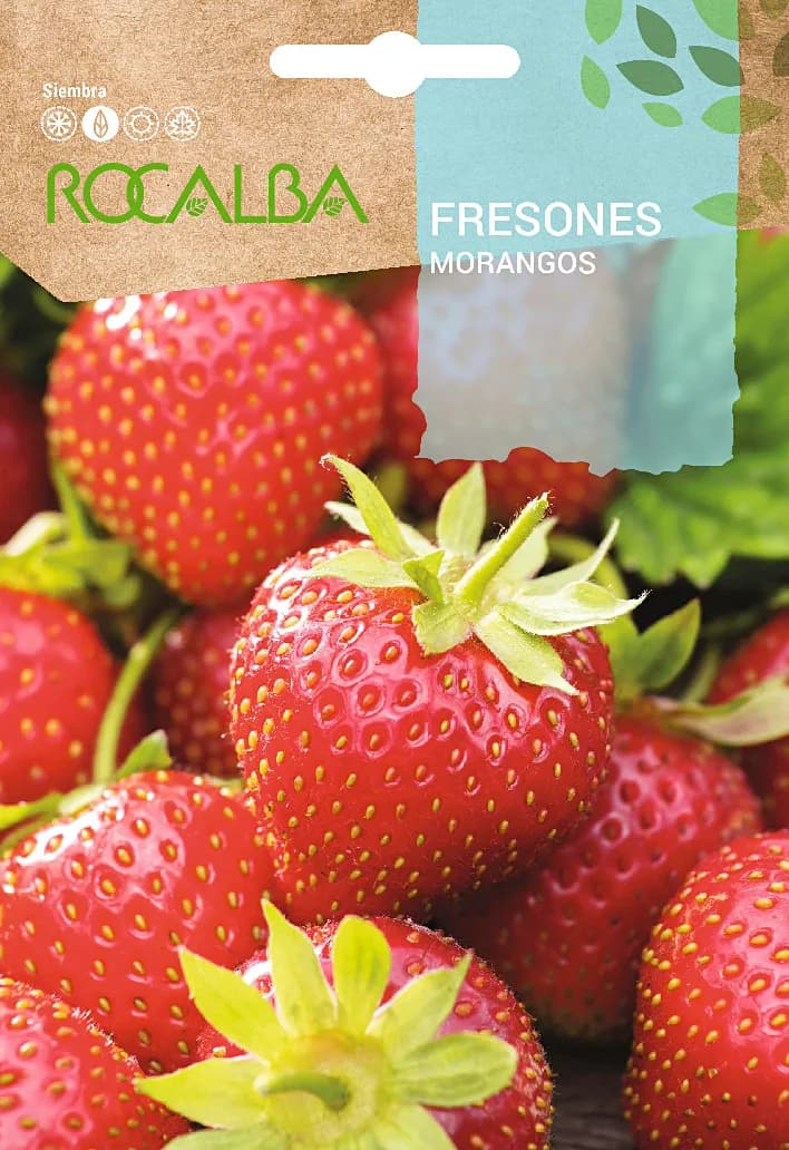 Semilla Freson — foto principal
