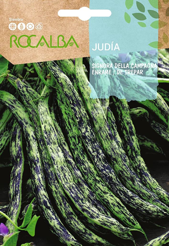 Semilla Judia Signora Della Campagna — foto principal
