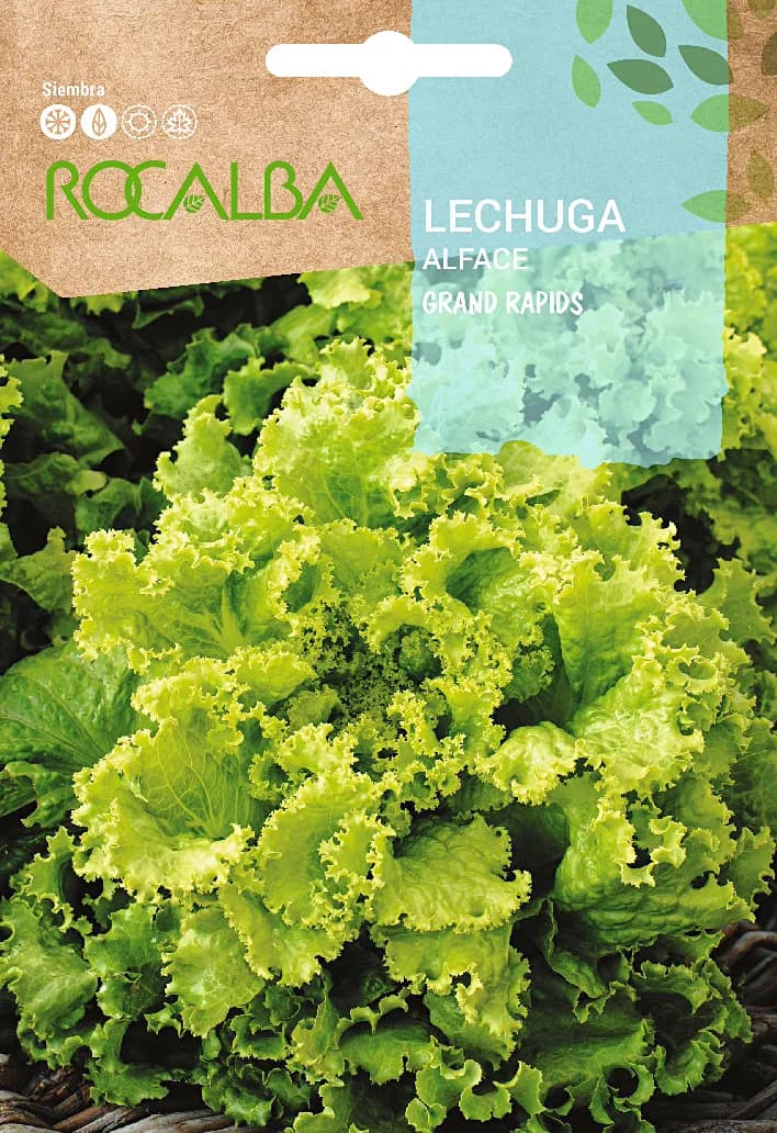 Semilla Lechuga Grand Rapids — foto principal