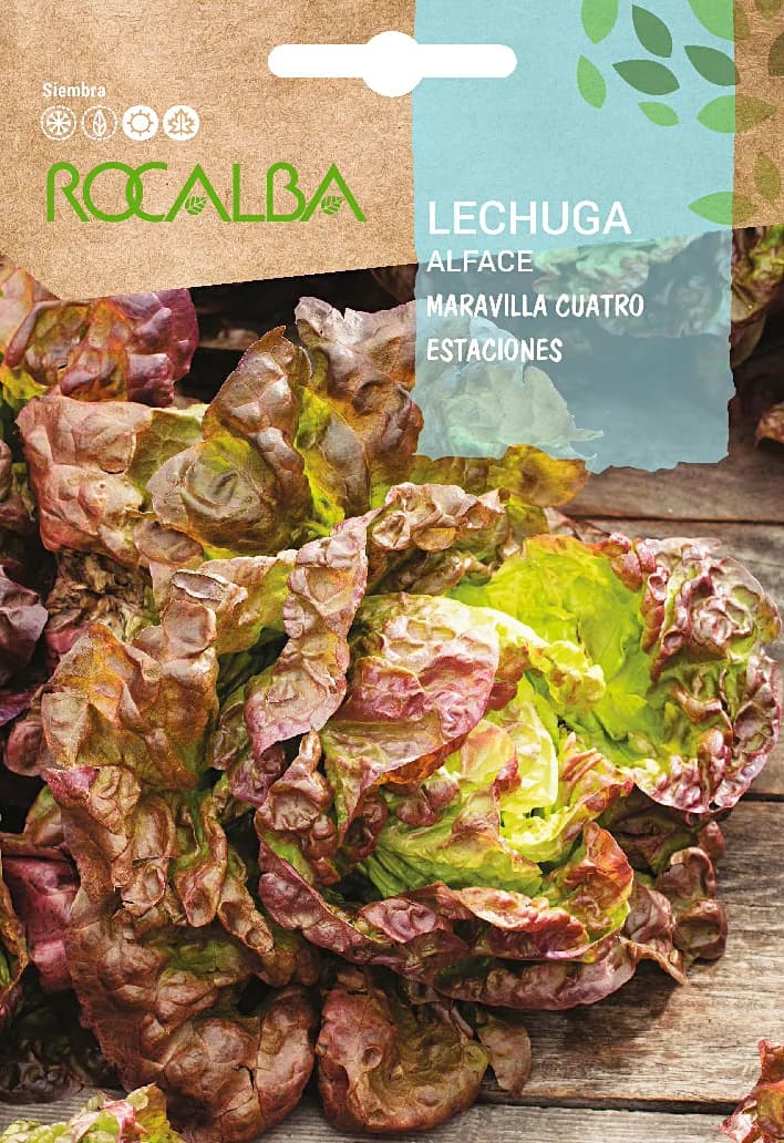 Semilla Lechuga Maravilla Cuatro Estaciones — foto principal