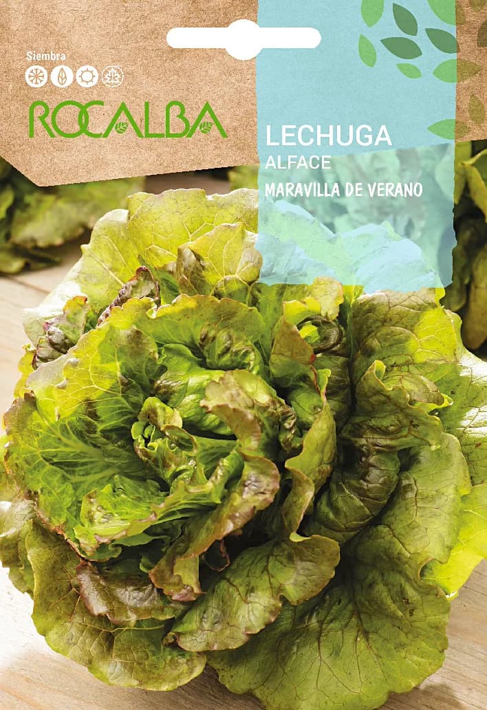Semilla Lechuga Maravilla de Verano — foto principal