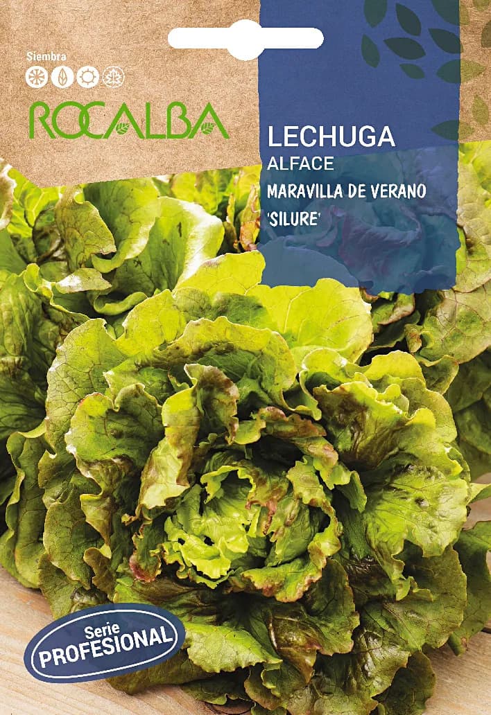 Semilla Lechuga Maravilla de Verano Silure — foto principal