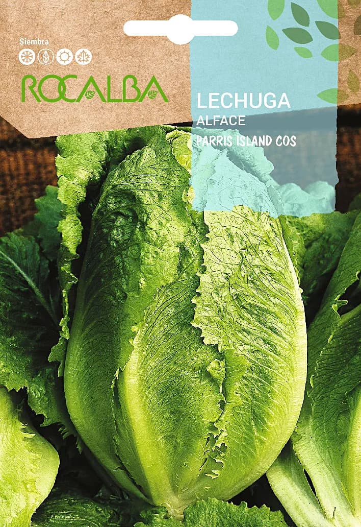 Semilla Lechuga Romana Parris Island — foto principal