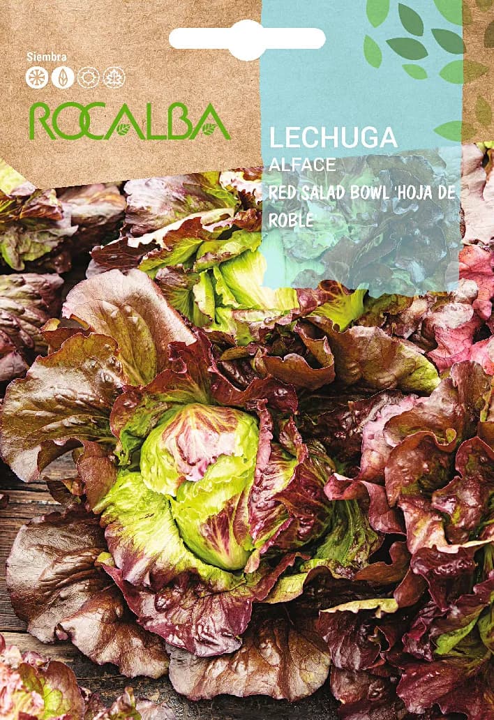 Semilla Lechuga Salad Bowl Rossa Hoja de Roble — foto principal