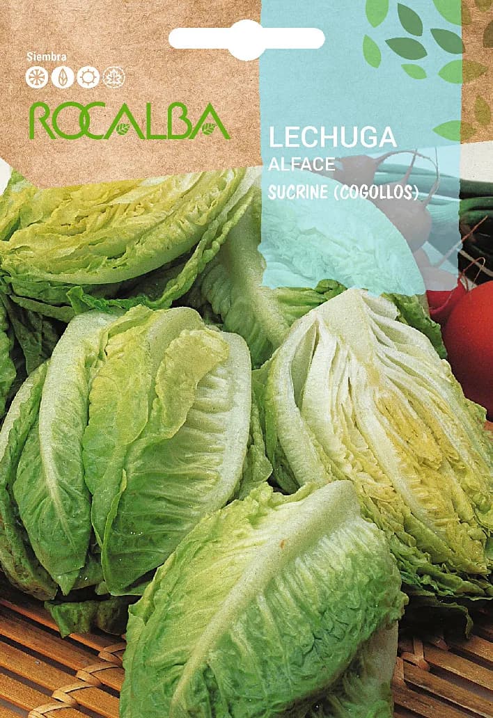 Semilla Lechuga Sucrine Cogollos — foto principal
