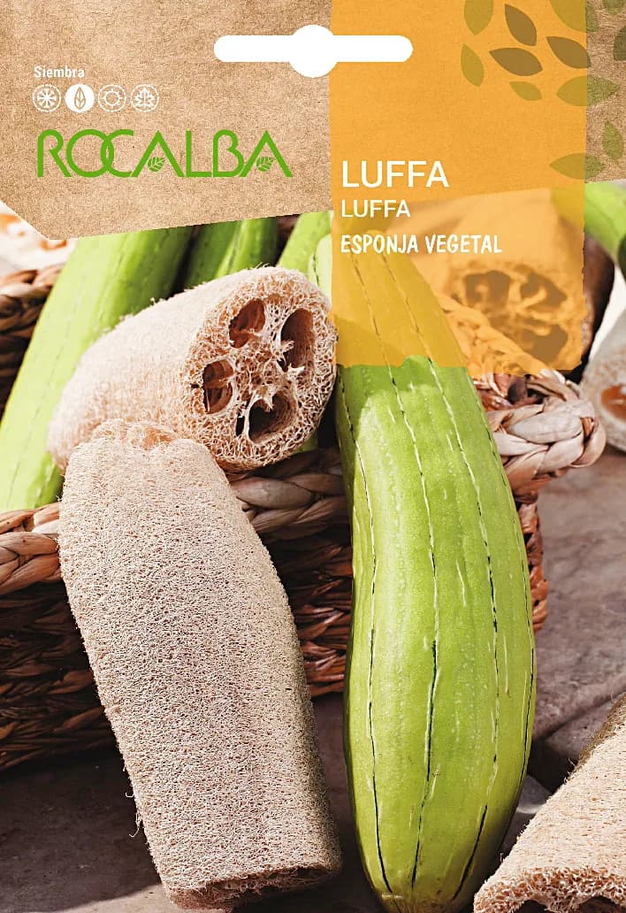 Semilla Luffa Esponja Vegetal 3 gr — foto principal