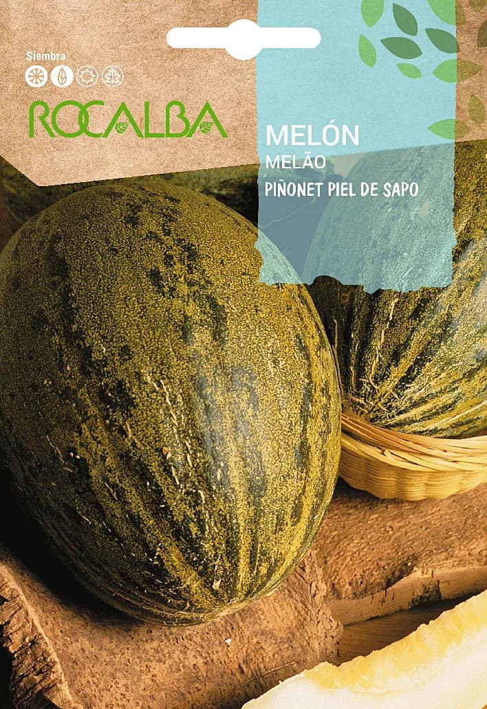 Semilla Melon Piñolet Piel de Sapo — foto principal