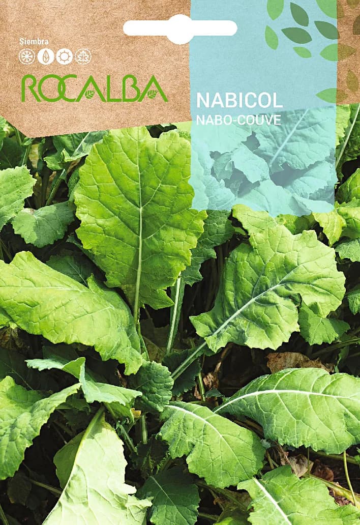 Semilla Nabicol — foto principal