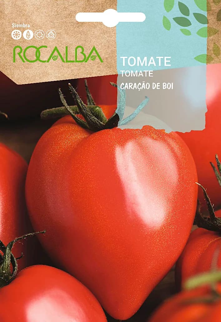 Semilla Tomate Corazon de Buey — foto principal