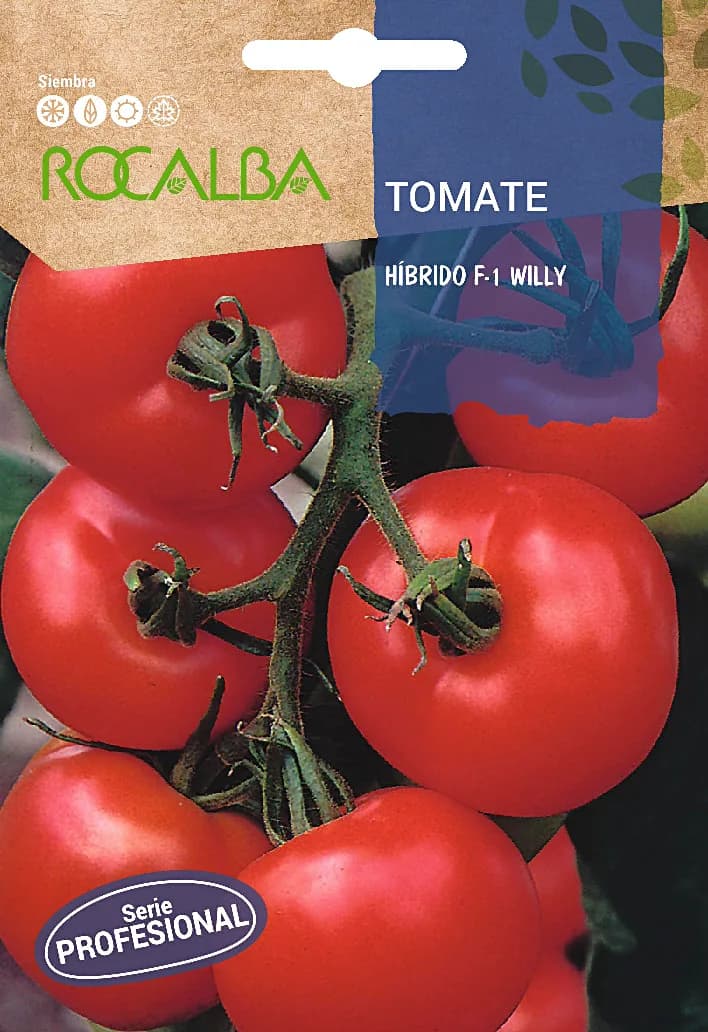 Semilla Profesional Tomate Hibrido F1 Willy — foto principal