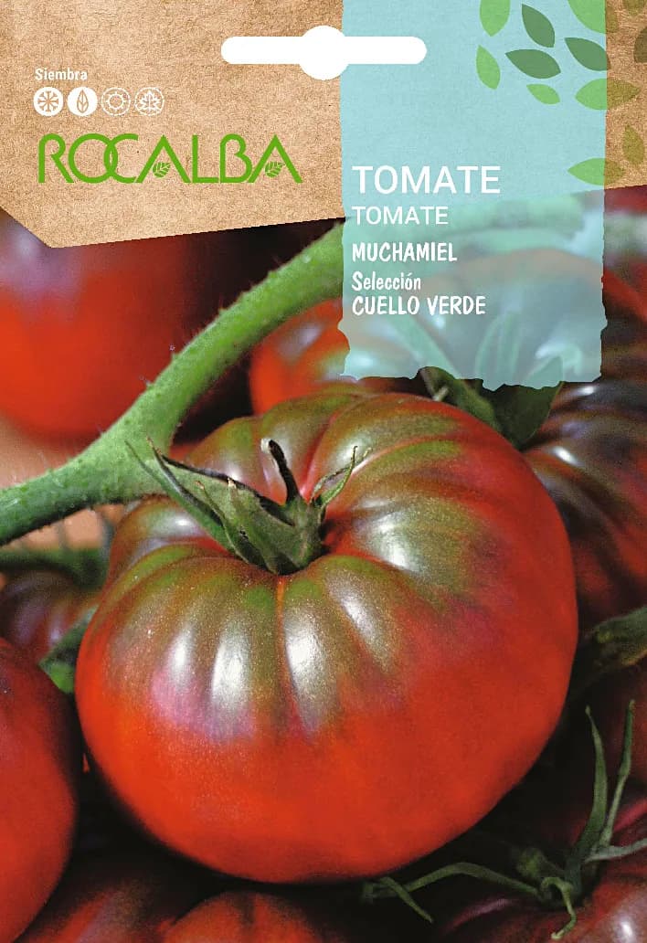 Semilla Tomate Muchamiel Seleccion Cuello Verde — foto principal