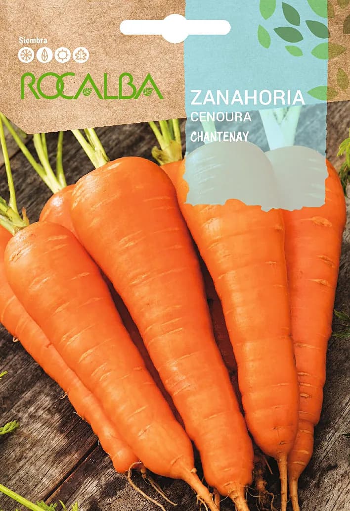 Semilla Zanahoria Chantenay — foto principal