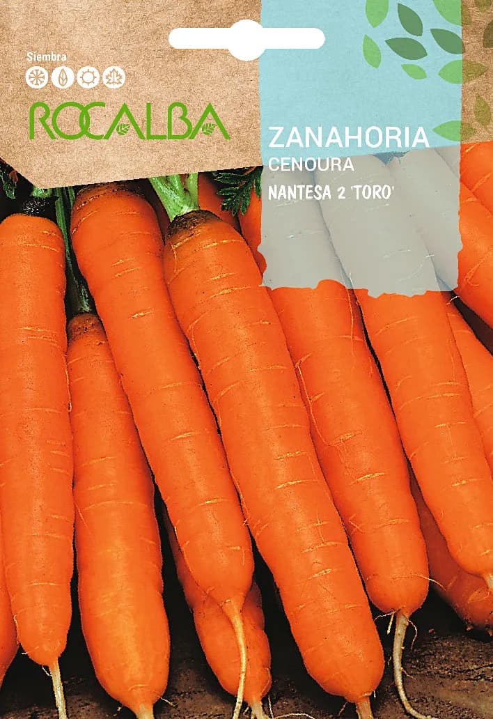 Semilla Zanahoria Nantesa 2 "Toro" — foto principal